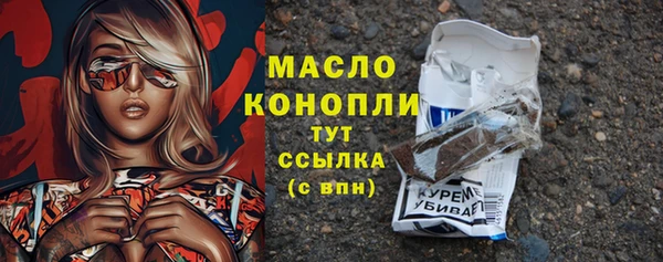 ECSTASY Алзамай