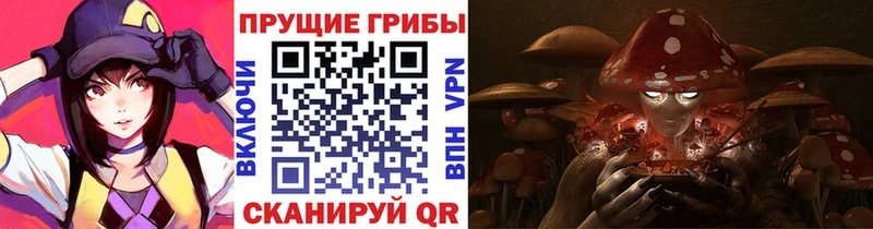 kraken онион  Саянск  Псилоцибиновые грибы Cubensis 